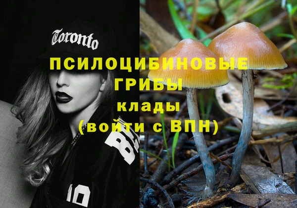 мдпв Новодвинск