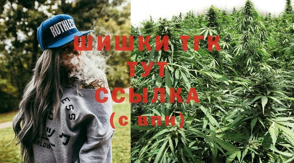соль ск Нязепетровск